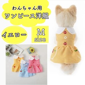犬 服 ワンピース 夏 チェック てんとう虫 薄手 イエロー 小型犬 M