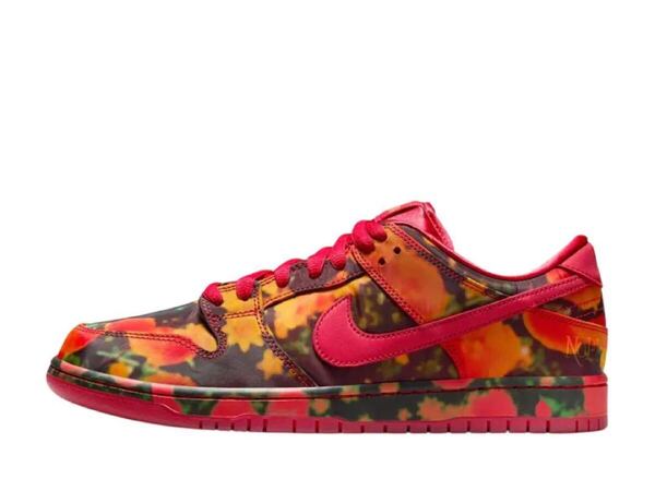 オズの魔法使い × ナイキ SB ダンク ロー ポピーフィールド NIKE FZ1291-600 28.5 未使用