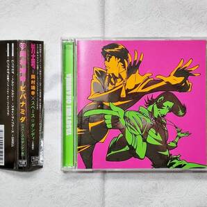 CD+DVD・送料無料(追跡可)■岡村靖幸「ビバナミダ」(スペース☆ダンディ盤)YASUYUKI OKAMURA