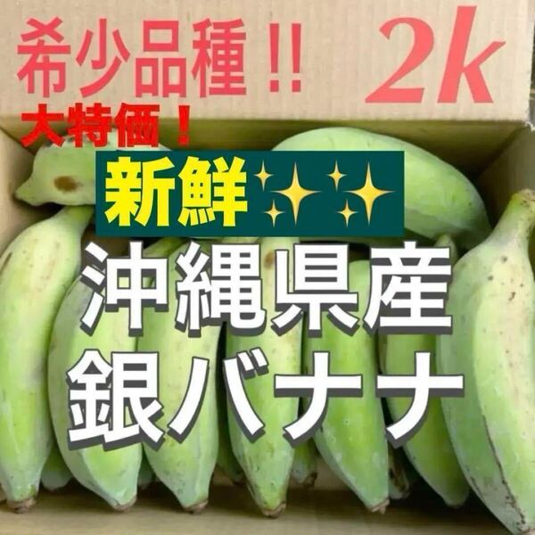 0611①大人気!!希少品種!農薬不使用!沖縄県産銀バナナ!箱別2キロ分