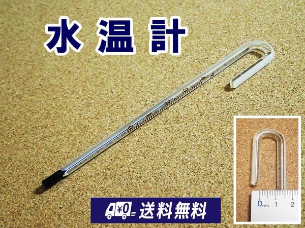 【送料込】水温計 1個 温度計 新品 即決 シュリンプ・メダカ・グッピー水槽の水温管理に