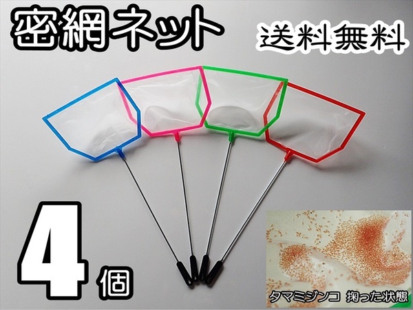 【送料無料】密網 ネット 4個 六角 即決 水槽用品 ミジンコ メダカ エビ 用などに ゾウリムシ・ブラインシュリンプは濾せません