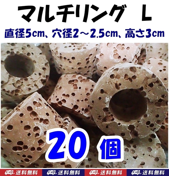 【送料無料】マルチリング L 20個 メダカ産卵床のオモリ 珊瑚 サンゴ や ウィローモス等の水草活着用に シュリンプシェルター