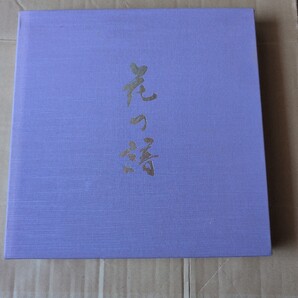 松岡政信画集 花の譜 京都書院