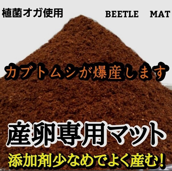 カブトムシの産卵専用 ビートルマット【100L】クヌギのオガを植菌で朽ちらせ室内で完熟発酵!添加剤少なめで産卵意欲が高まり多産へと導く