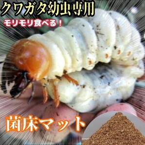 菌床粉砕クワガタマット ボトルやカップに詰めるだけ!菌糸の甘い香り!菌糸瓶よりコスパ良い! クワガタ幼虫の土 クワガタ幼虫の餌