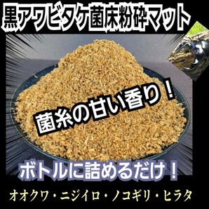 クワガタ幼虫専用 貴重!黒アワビタケ菌床粉砕マット【30L】ボトルやカップに詰めるだけ!甘い菌糸の香り!菌糸瓶より経済的に飼育できる