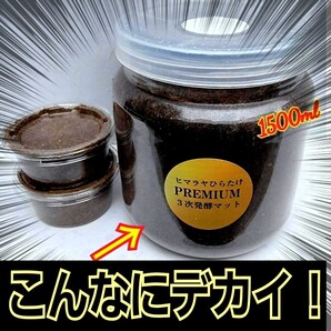 特大サイズ1500mlクリアボトル入り プレミアム3次発酵マット【8本】クワガタの幼虫を入れるだけ!便利です!栄養添加剤・バクテリア強化!