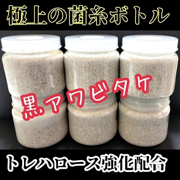 菌糸瓶【10本】貴重な黒アワビタケ 特殊アミノ酸強化配合 ニジイロクワガタにお薦め オオクワ、ヒラタ、ノコギリの初令・2令にも抜群