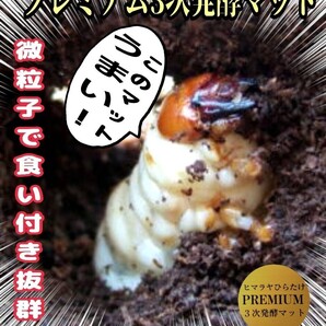 ミヤマに抜群!極上!プレミアム3次発酵クワガタマット 栄養添加剤・バクテリア3倍配合 アンテ、ニジイロ、ノコギリにも抜群!産卵にも!