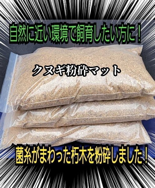 無添加!クヌギ朽ち木粉砕マット【40L】クワガタの産卵木の埋め込みに最適!発酵マットに混ぜてカブト幼虫の栄養強化にも!自然の甘い香り