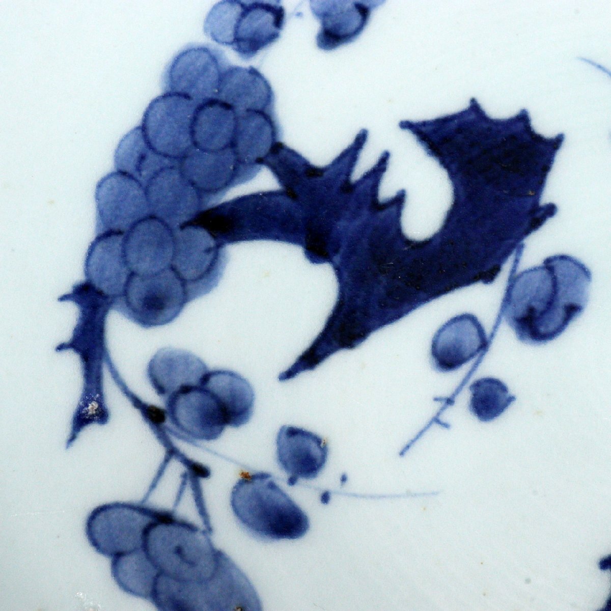 古伊万里 染付 大皿 蛸唐草 染付大皿 幅 46cm 絵皿 青花盤