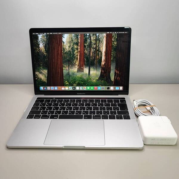 【EF753342】AppleMacBookPro2018 Intel(R) Core(TM) i7-8559U CPU @ 2.70GHz16 GB512GB SSD
