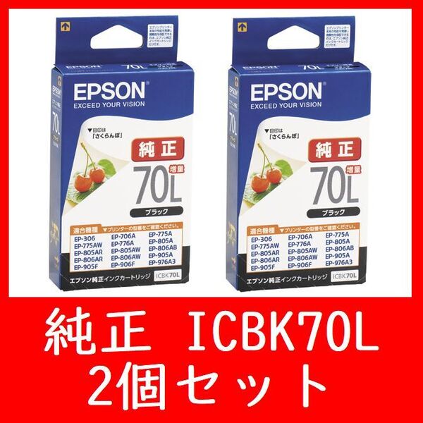 2個セット エプソン純正 ICBK70L 増量タイプ 推奨使用期限2年以上