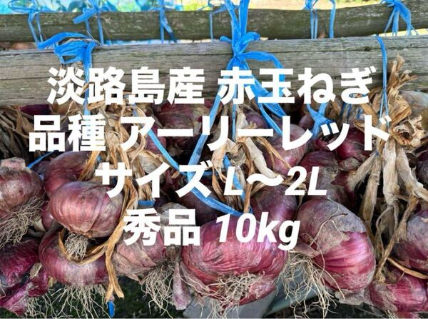 淡路島産 赤玉ねぎ 品種 アーリレッド 秀品 10kg サイズL~2L 無選別 淡路 淡路島 南あわじ市