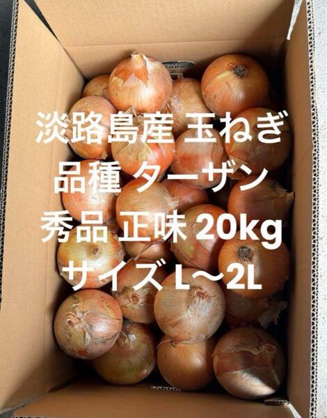 淡路島産 玉ねぎ L~2L 秀品 正味 20kg 品種 ターザン 淡路 淡路島 南あわじ市