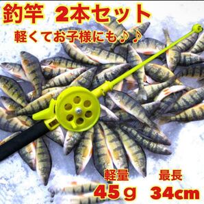 釣り竿 2本セット リール付き 短竿 コンパクトロット 子供 つり キャンプ