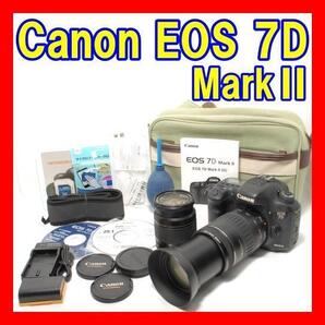 動作確認 付属品多数 キャノン Canon EOS 7D MarkⅡ 超望遠ダブルズームキット