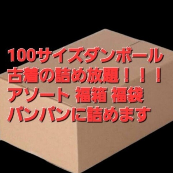 無くなり次第終了 100サイズのダンボールパンパンに詰めます大量 福箱 レディース メルカリ フリマ 転売OK 卸 破格 格安 赤字覚悟 お買い得