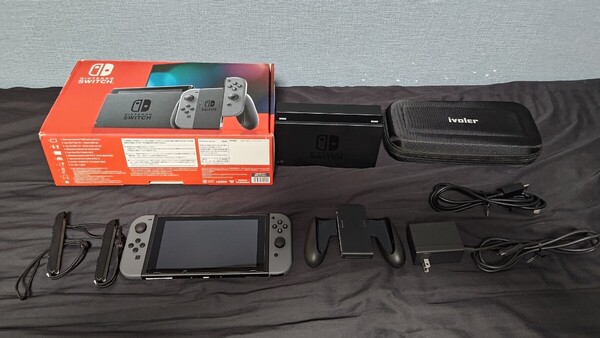 Nintendo Switch ニンテンドースイッチ 本体 グレー 中古 動作◯ 付属品完備