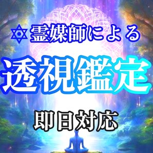 【透視鑑定】◆現役霊媒師が透視します。 未来・予知・明晰