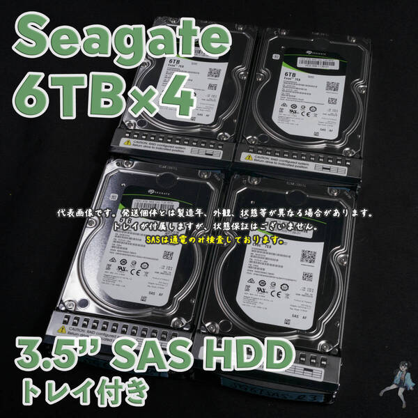 【SG6Tsas-b5~8(t)】Seagate Exos 3.5インチHDD(SAS) 6TB ST6000NM0095 SAS接続 トレイ付き【4台セット/中古品/送料込み】