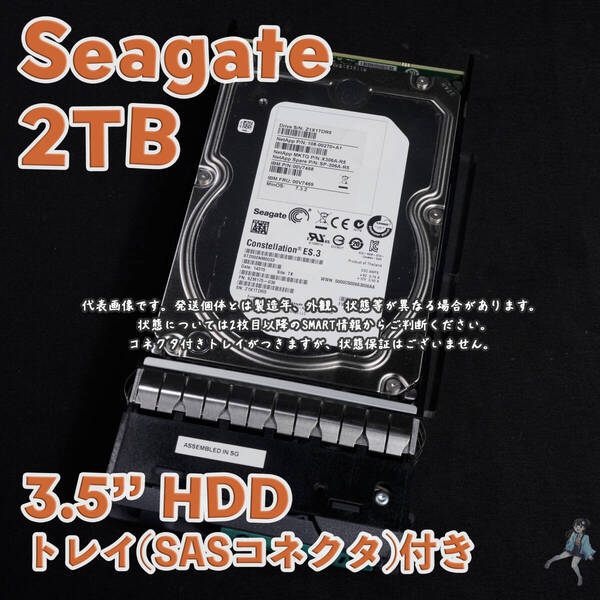 【SG2T-N13ta】Seagate 3.5インチHDD 2TB ST2000NM0033 トレイ(SASアダプター)付き【動作中古品/送料込み】
