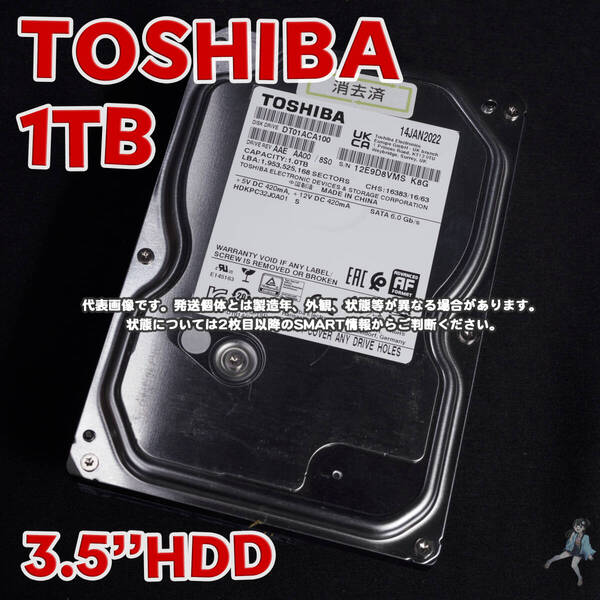 【TS1T-A25m】TOSHIBA 東芝 3.5インチHDD 1TB DT01ACA100【動作中古品/送料込み】
