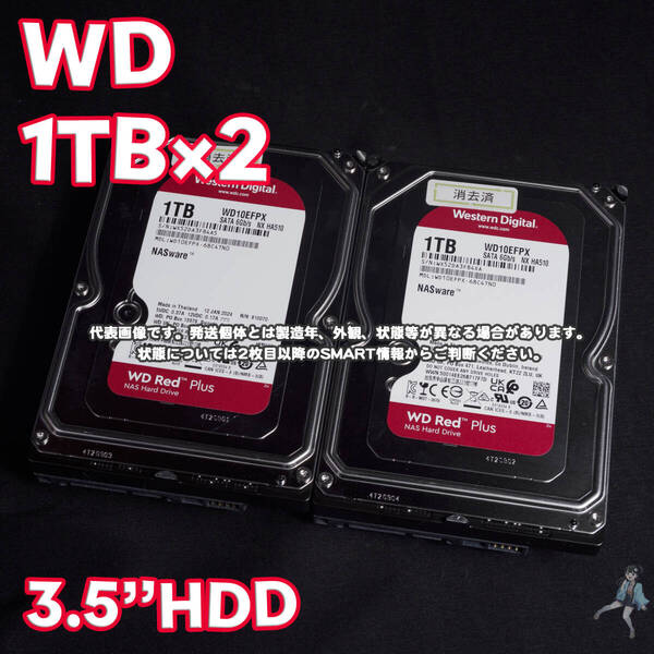 【WD1T-E3/E4(m)】Western Digital WD Red Plus 3.5インチHDD 1TB WD10EFPX【2台セット/動作中古品/送料込み】