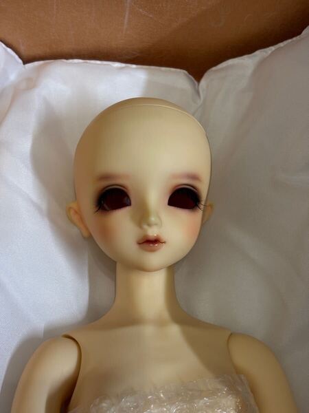 SDシャルロッテ 2nd スーパードルフィー ボークス ドール VOLKS Dollfie ボークス 本体(グラスアイ無し)