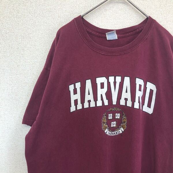 ギルダン tシャツ プリント ハーバード カレッジ アメリカ古着 L 1734