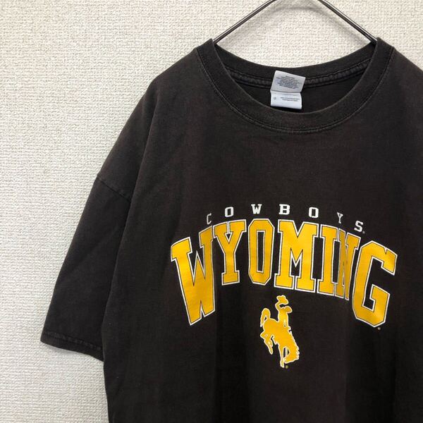 ギルダン tシャツ カレッジ チームロゴ アメリカ古着 L 1756