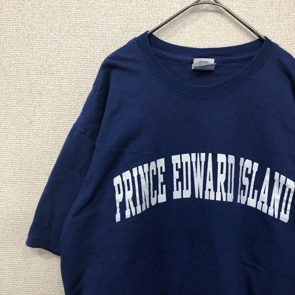 ギルダン tシャツ プリント カレッジ アメリカ古着 L 1767