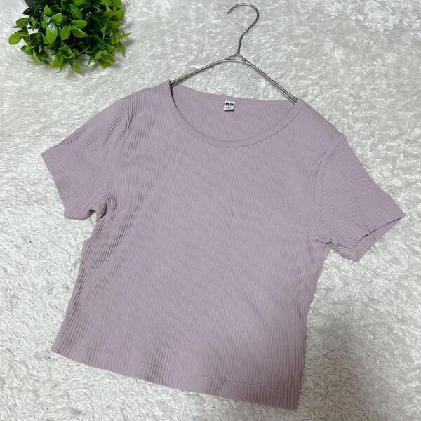 美品 【ユニクロ UNIQLO】 リブクロップドT 半袖 (M) ピンク
