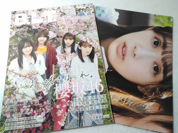 _B.L.T. 2021年5月号 ポスターつき 小池美波&菅井友香&土生瑞穂&渡辺梨加(櫻坂46)ほか