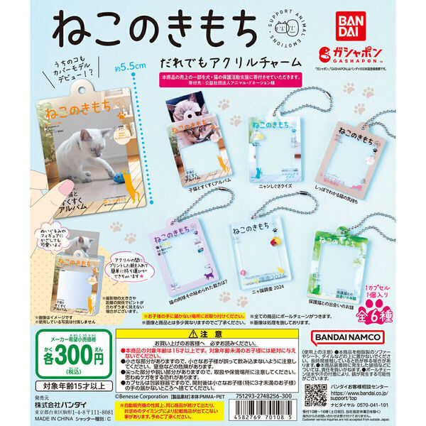 【A-35】ガチャガチャ ねこのきもち だれでもアクリルチャーム 全6種セット 猫 ねこ ネコ 雑誌 ミニチュア【mini】