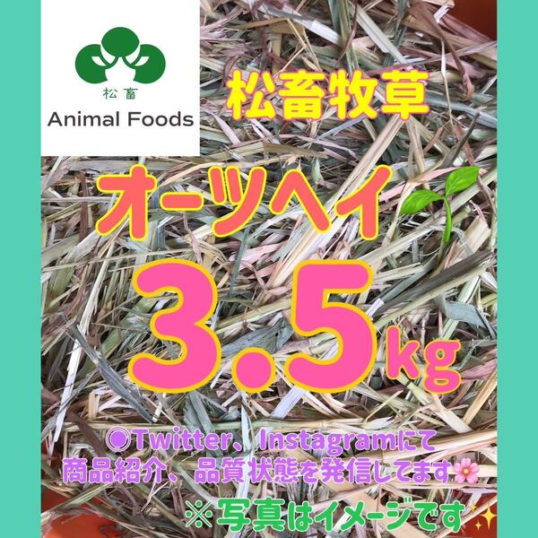松畜牧草 スーパープレミアムオーツヘイ 3.5kg