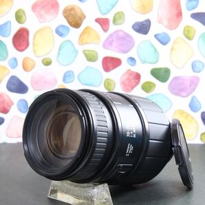 【N】 ◇SIGMA 70-300mm NIKON ◇高性能望遠レンズ♪