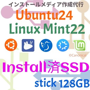 インストール済みSSD★Ubuntu / Linux Mint / Lubuntu / Xubuntu / Kubuntu スティックSSD 128GB Linux OS 動画編集 画像編集 Steamゲーム
