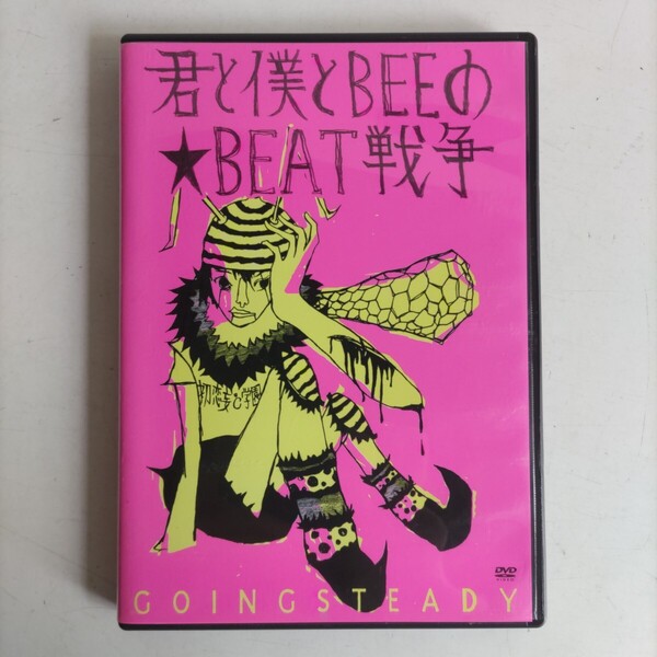【DVD】GOING STEADY「君と僕とBEEの★BEAT戦争」インディーズ・パンク 2002年12月24日渋谷La.mama童貞たちのクリスマスイブ ユーズド品