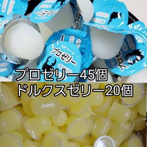 プロゼリー16g 45個 ドルクスゼリーS20個 KBファーム フジコン 昆虫ゼリー カブトムシ クワガタ ハムスター 小動物 ハリネズミ モモンガ