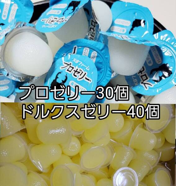 プロゼリー16g 30個 ドルクスゼリーS40個 KBファーム フジコン 昆虫ゼリー カブトムシ クワガタ ハムスター 小動物 ハリネズミ モモンガ