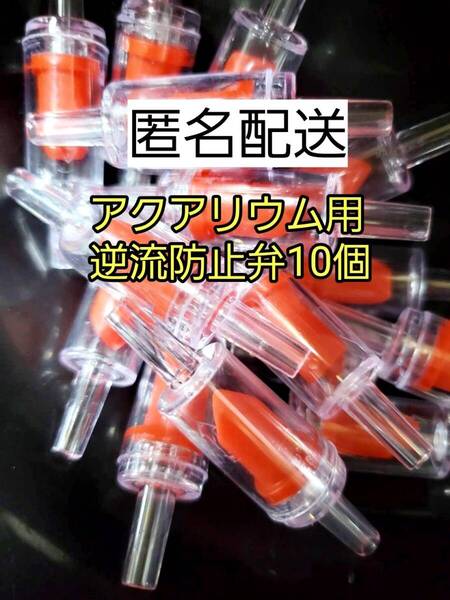 アクアリウム 逆流防止弁 10個 赤 エアーチューブ エアレーション メダカ 金魚 熱帯魚 グッピー ザリガニ 錦鯉 シュリンプ