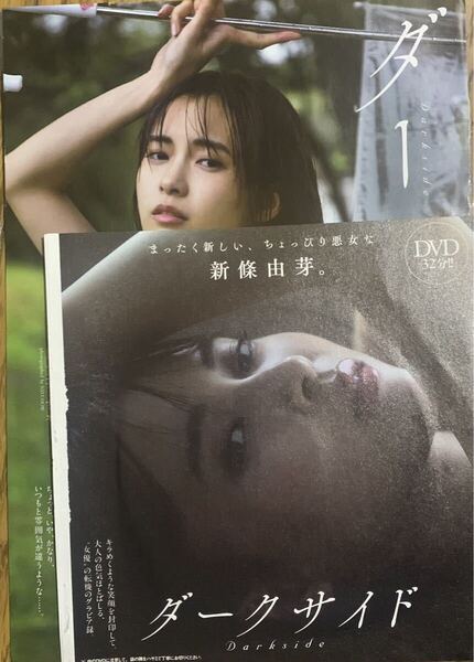 新條由芽/週刊プレイボーイ付録DVD+切り抜き24ページ