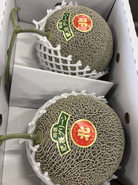 【4Lサイズ】熊本県産 秀品肥後グリーン 2箱 ※2つ目を買う方用
