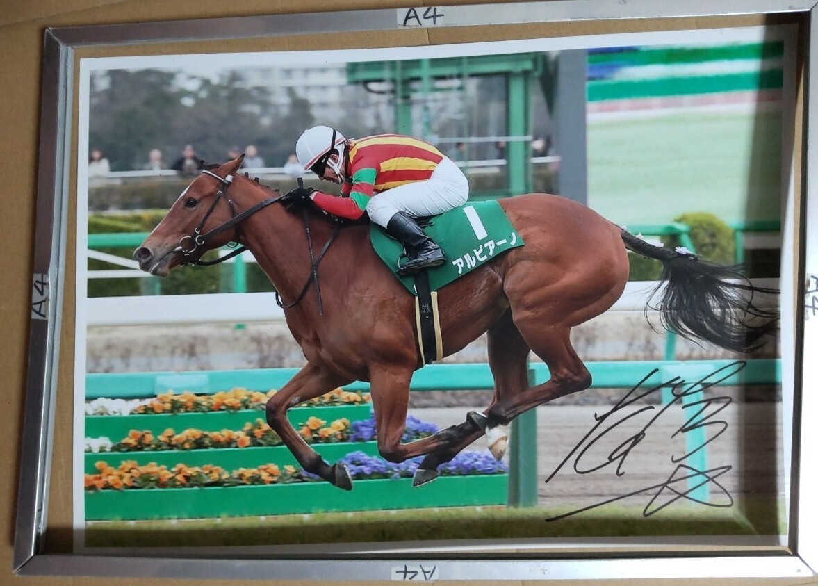 ホースレーシングトレーディングカード 斎藤新 ジョッキー直筆