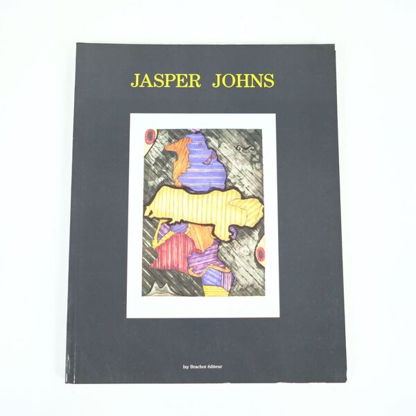 JASPER JOHNS 1991 ジャスパー・ジョーンズ 洋書 画集 作品集 ポップ・アート ネオダダ
