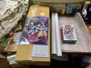 SW ぎゃる☆がん だぶるぴーす 限定版 ファミ通DXパック 新品未開封 配送箱痛み有 Gangun Double Peace 送料無料 同梱可