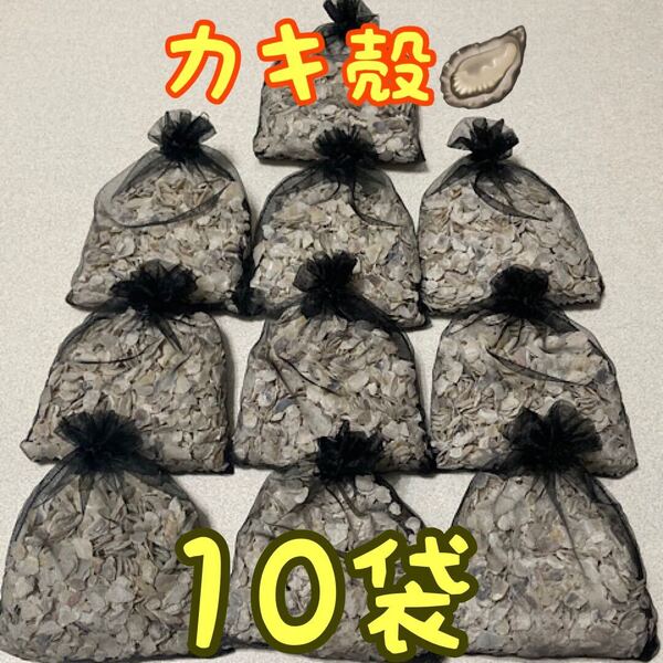 牡蠣殻 10袋 ろ材 アクアリウム メダカ 金魚 鯉 カメ