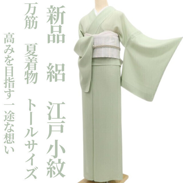 tomihisa 新品 絽 万筋 夏着物“語り継がれる小紋の王道…高みを目指す一途な想い”正絹 仕付け糸付 トールサイズ 江戸小紋 5920